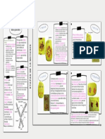 METABOLISMO (4)