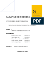 Declaracion de Impacto Ambiental - ES Grifo 2