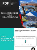 Relieve y Biodiversidad del Norte Grande de Chile | PDF | Andes | Chile