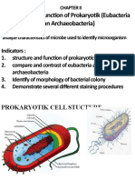 Structure and Function of Prokaryotic Cells