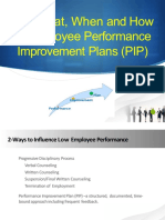 Performance Improvement Plan (PIP)