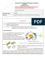 La Respiracion 7 2021