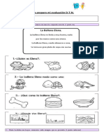 Guia Repaso T, D, N