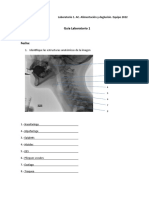 Guia 1. Laboratorio 1. BaÌ Rbara Aguilera y Paola Arce