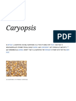 Caryopsis - Wikipedia