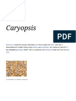 Caryopsis: The Grain Fruit of Grasses