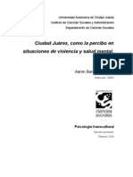 CD. Juarez Situaciones de Violencia y Salud Mental