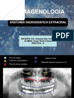 Tarea 10 1