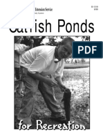 Catfish Ponds: For Recreation