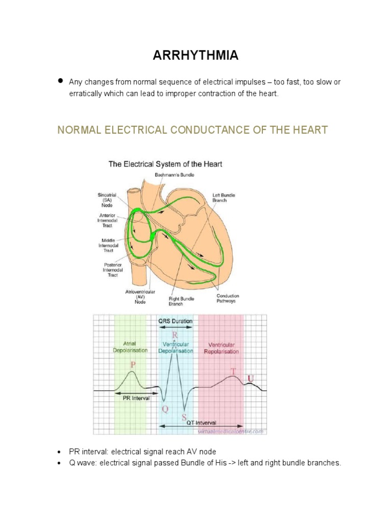 Arrhythmia: Normal Electrical Conductance of The Heart | PDF | Heart ...