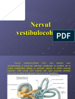 nervul vestibulo-cohlear