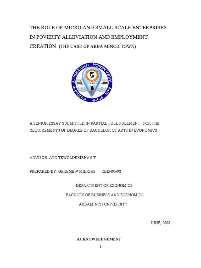 The Role of Micro and Small Scale Enterprises in Poverty Alleviation ...