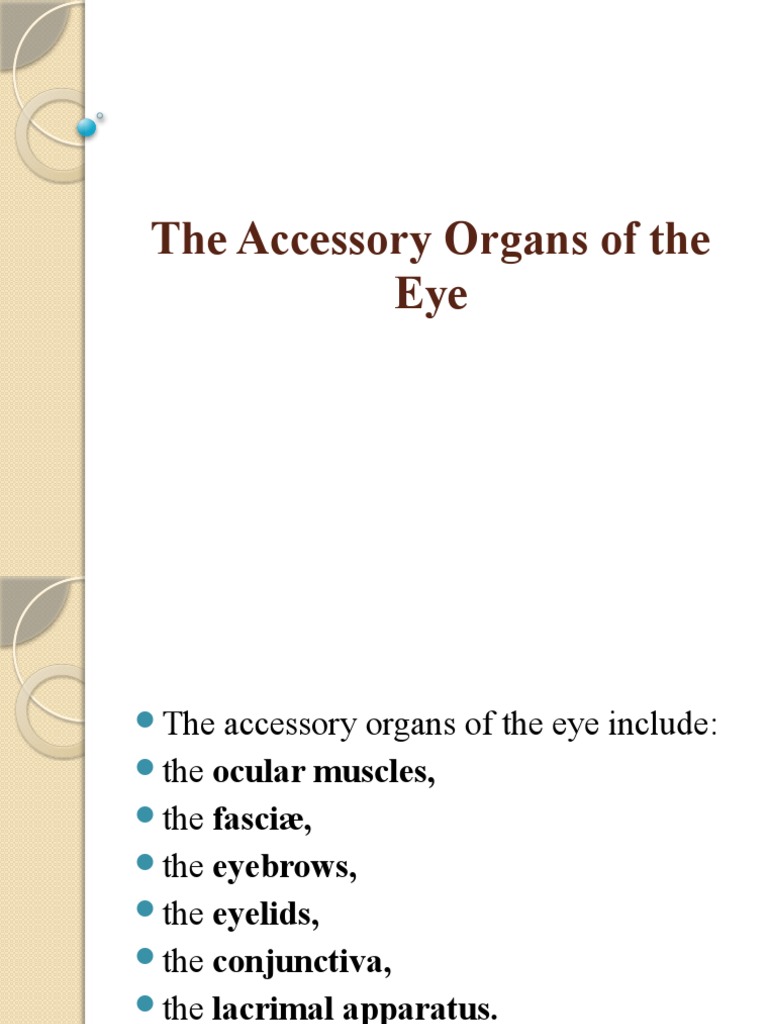 The Accessory Organs of The Eye PDF