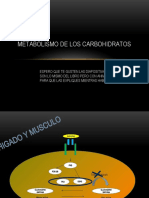 Metabolismo de Los Carbohidratos Diapositivas