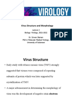 Virus Mophology