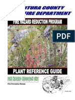 Landscaping Plant Guide