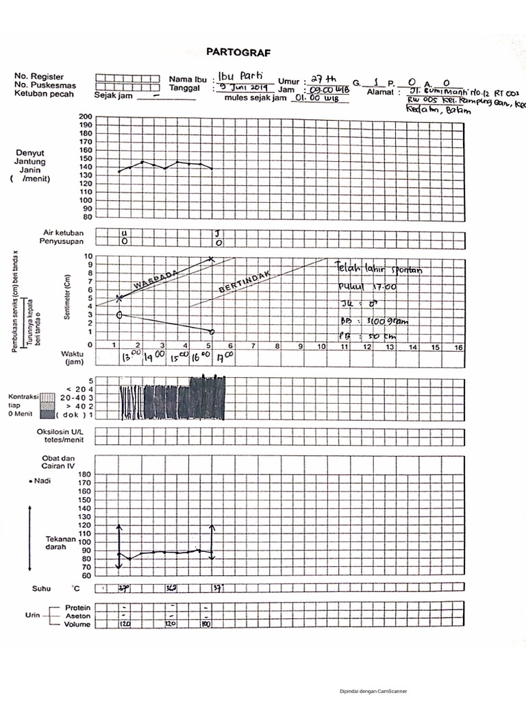 Partograf | PDF