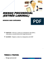 Diapositivas Capacitación Riesgo Psicosocial