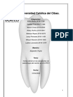 Trabajo Final de Bioestadistica