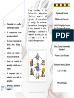 TRIPTICO InformáticaEduc.