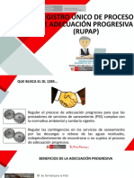 Registro RUPAP - PPT Loreto 23-06-2021