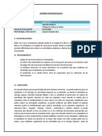 Formato Informe Psicopedagogico