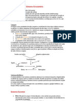 sistemas circulatório + excretor + endócrino