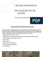 Inspección Visual Del Sitio de Estudio