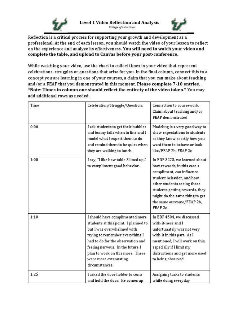 Video Reflection Form | PDF | Behavior | Classroom