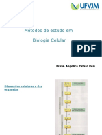 Métodos de Estudo Final