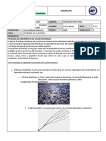 3.-Patrones de La Materia