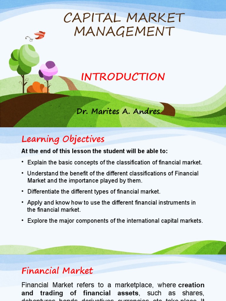 Overview of Capital Market Functions | PDF | Financial Markets | Stocks