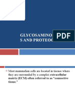 Glycosaminoglycan S and Proteoglycans