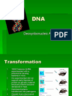 DNA's Double Helix Structure & Role in Replication, Transcription & Translation