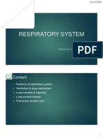 6 Respiratory System