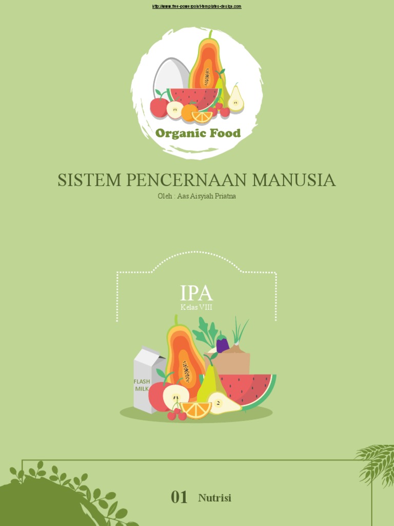 Sistem Pencernaan Pada Manusia | PDF