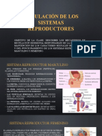 Regulación de Los Sistemas Reproductores