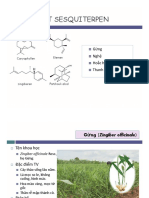 Dược liệu chứa tinh dầu, tiết 6