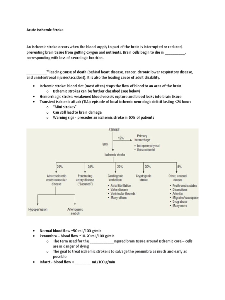 Acute Ischemic Stroke Management Guide | PDF | Stroke | Ischemia