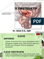 Ileus Obstruksi Oke