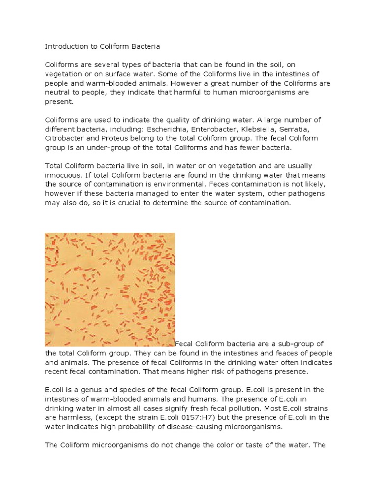Introduction to Coliform Bacteria