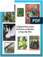 Catalogo Flora y Fauna de Rio Seco Las Martinez D