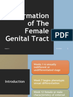 Malformation of Female