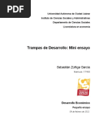 Ensayo - Trampas de Desarrollo