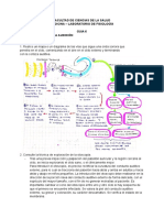 Guia 6 Fisiologia