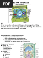 Materi 9 Sel Dan Jaringan