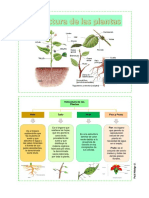 Botánica y Fisiol. Vegetal - Foro 3