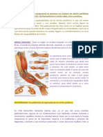 Clase 8 Intervención de Terapia Ocupacional en Personas Con Lesiones de Nervios Perisfericos Eess