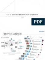 SAE-A Production Profile - Vietnam (FINAL)