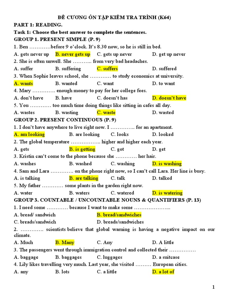 De Cuong Chinh Thuc PDF Adjective Baggage